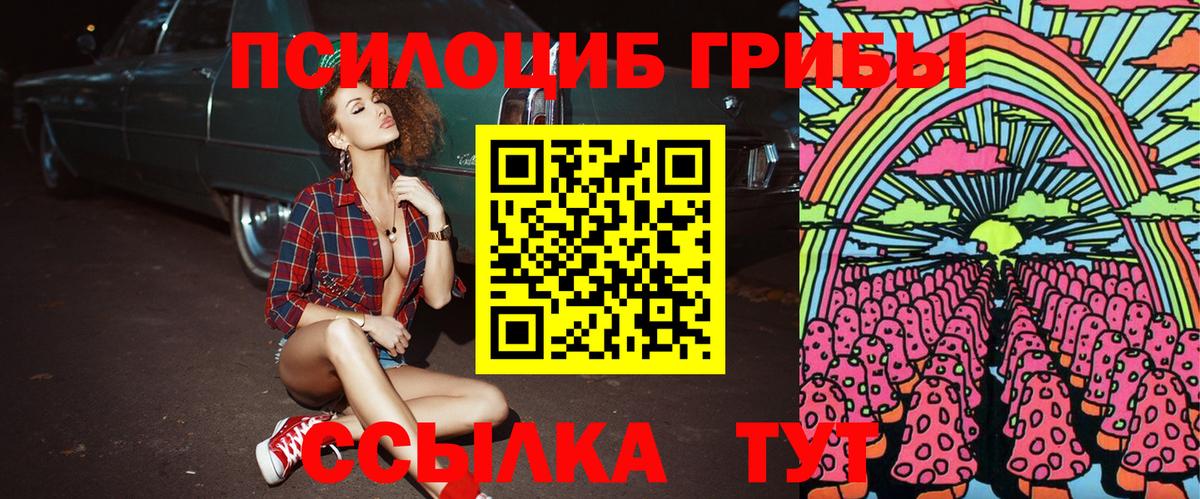 Галлюциногенные грибы прущие грибы  Вход с VPN  Тутаев  Псилоцибиновые грибы GOLDEN TEACHER 